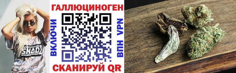 Галлюциногенные грибы Psilocybe  купить наркоту  мега ТОР  Гурьевск 